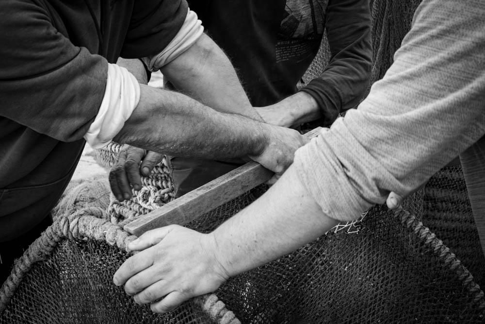 Fotografia 1 — detalhe